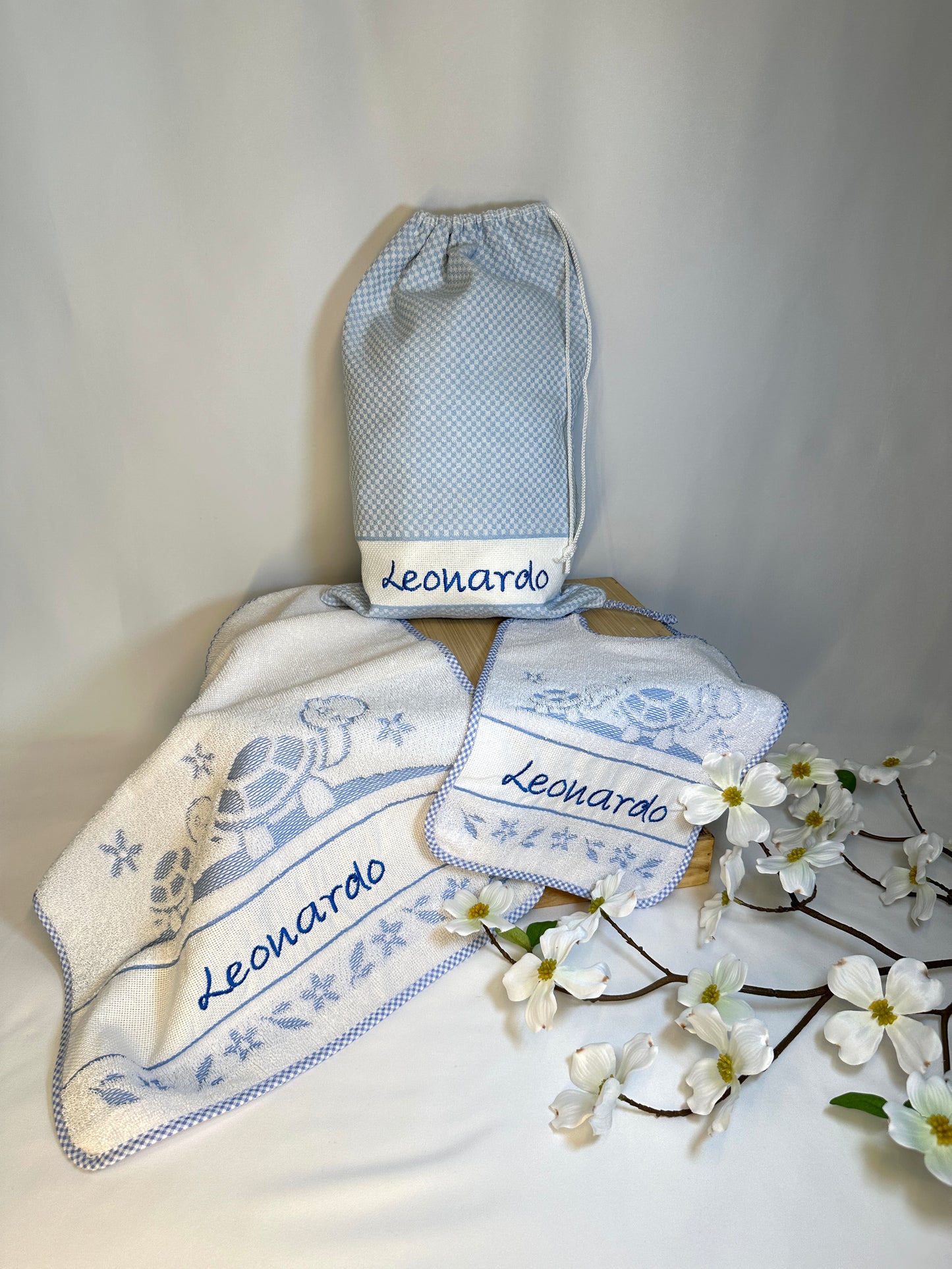 Set Asilo con tartarughe