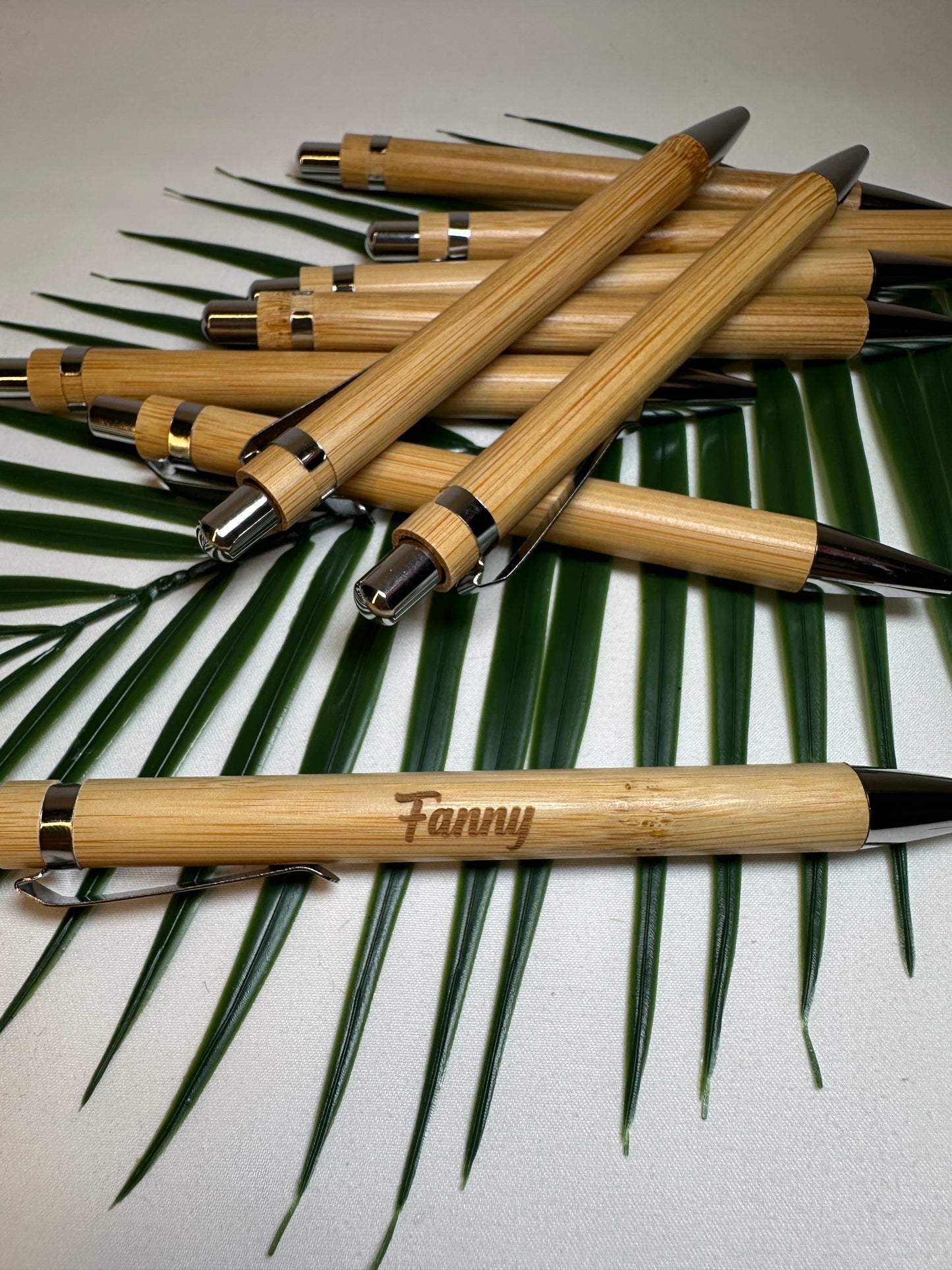 Penna in bambù