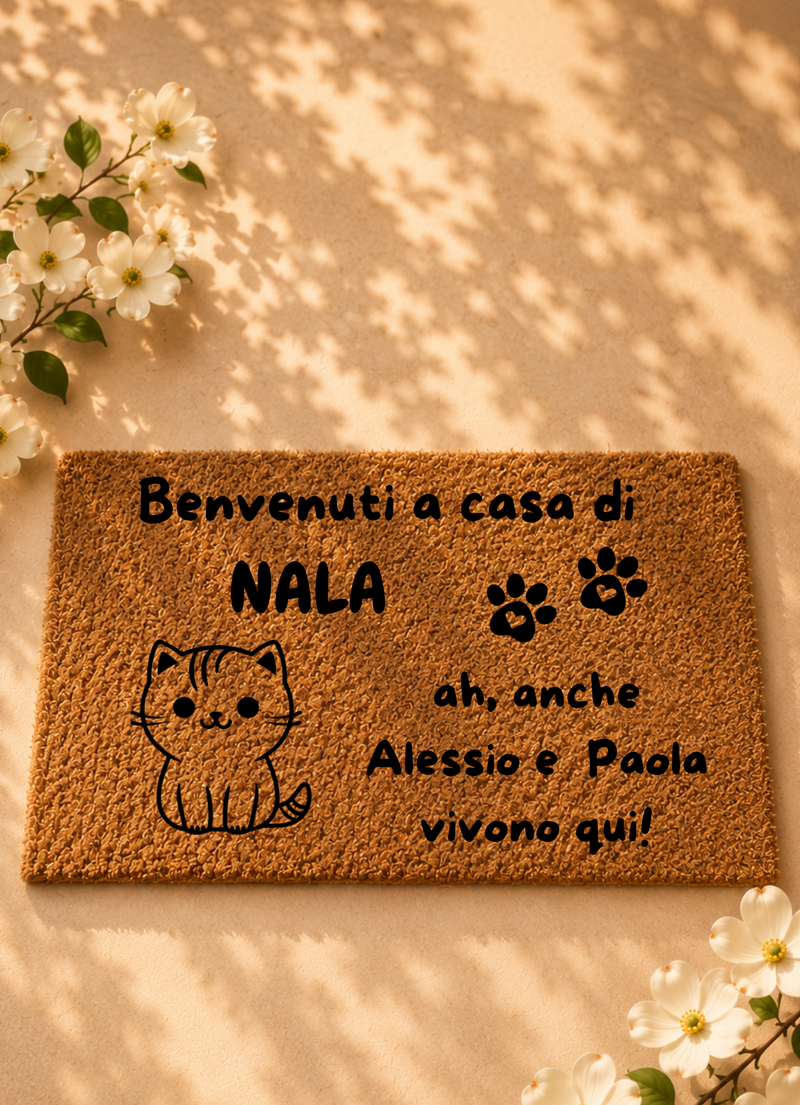 Zerbino Gatto