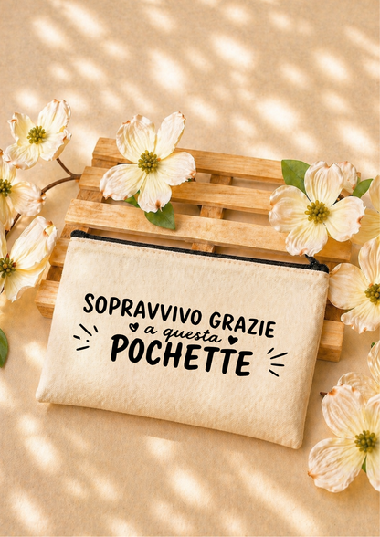 Pochette Ironiche