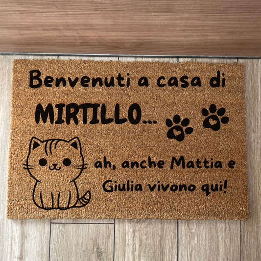 Zerbino Gatto