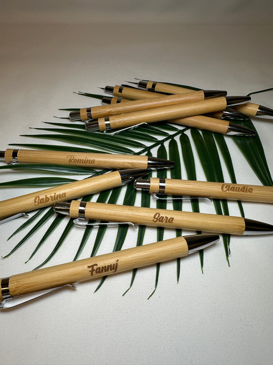 Penna in bambù